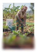 Agriculture Supplies